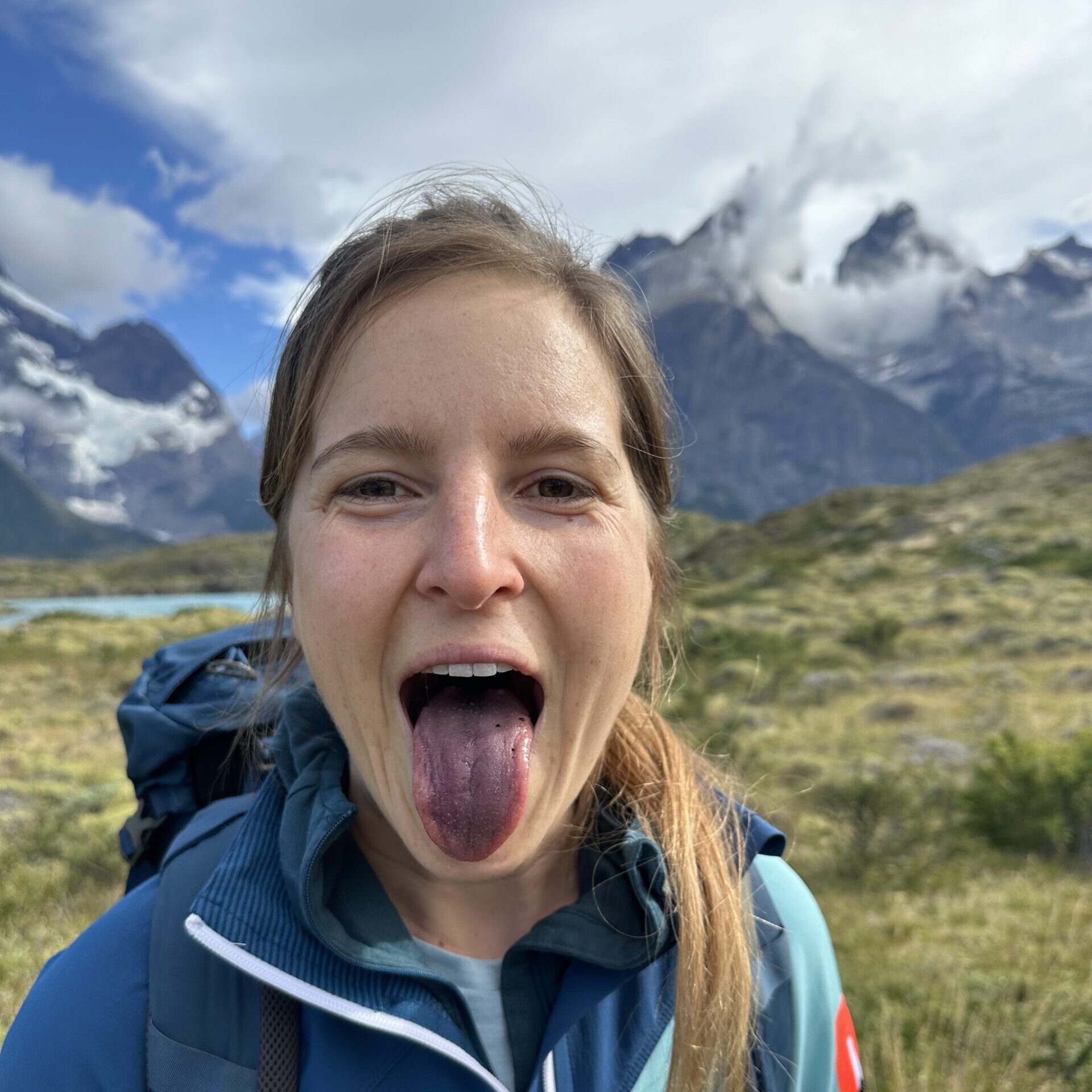 Tag 8 – Die Reste abklappern (Guanacos)