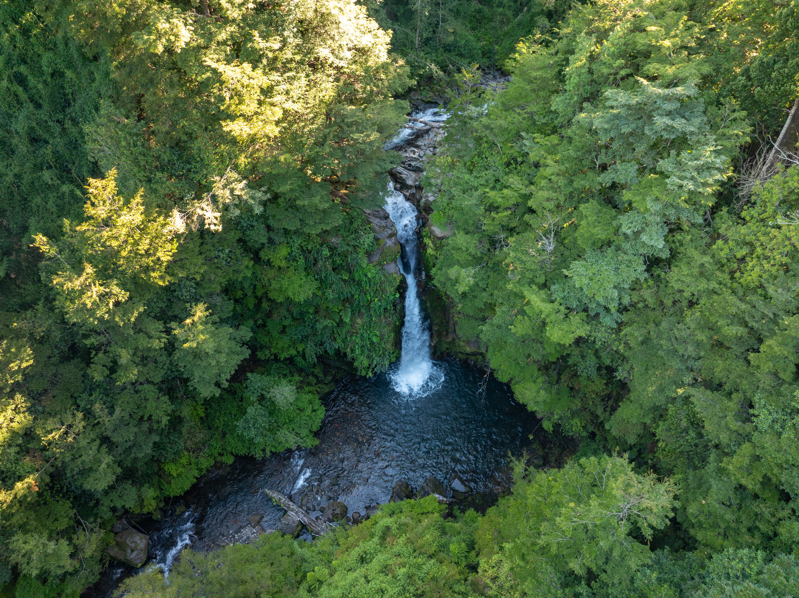 Tag 23 – Puyehue