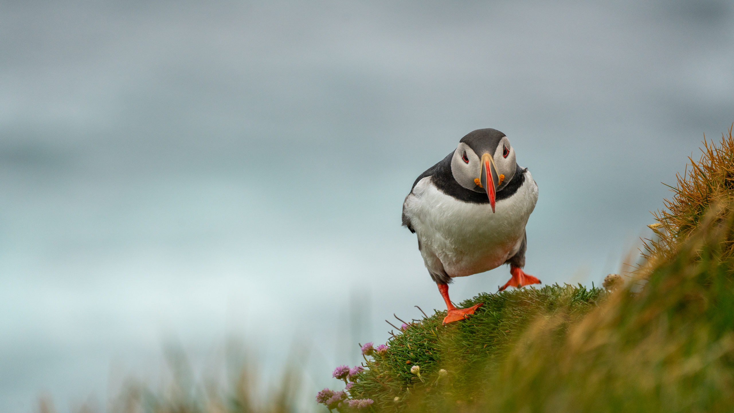 Tag 11 – Vogelparadies