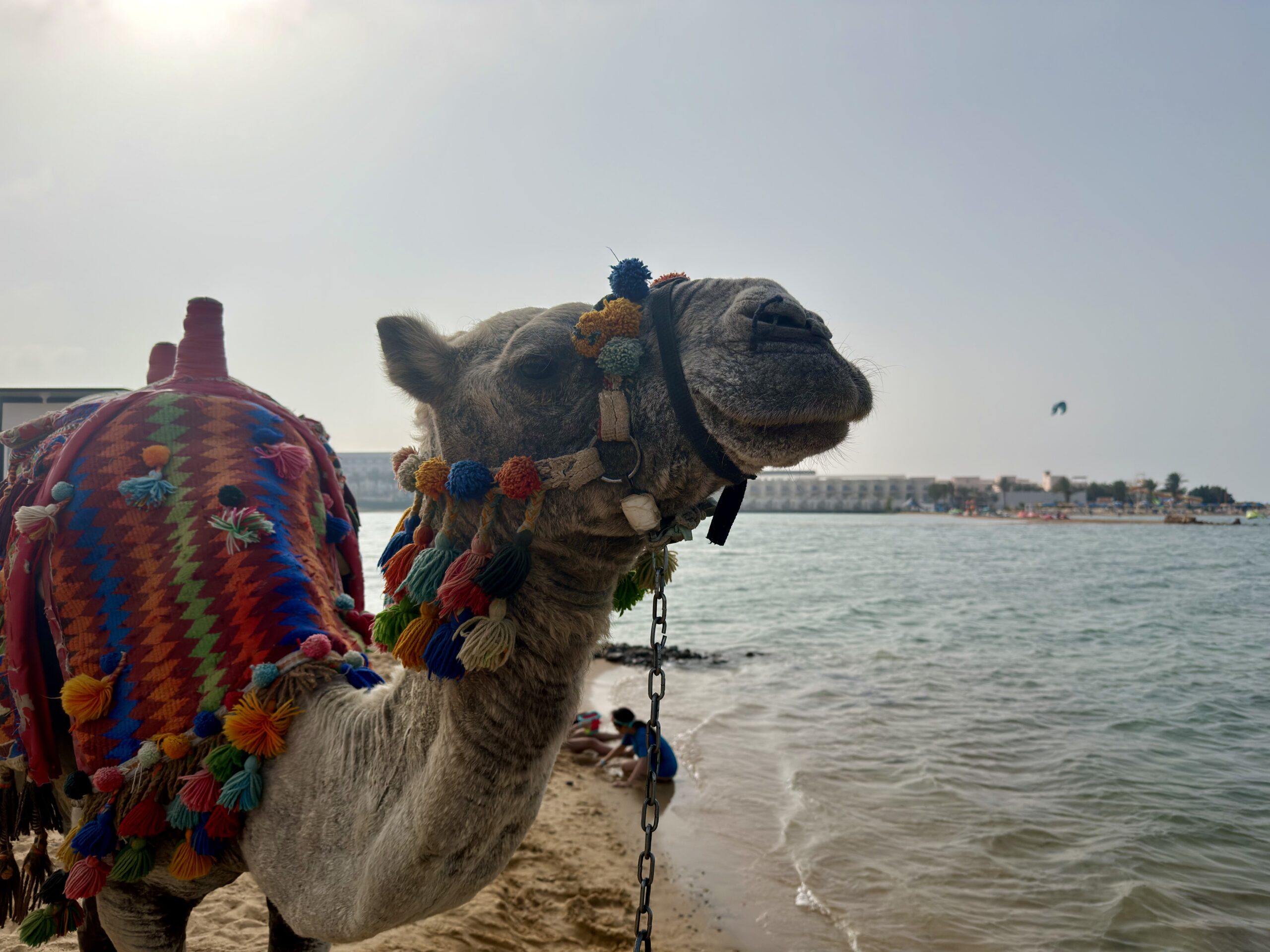 Last Minute All Inclusive